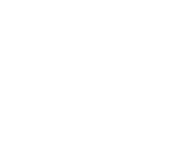 ssci ind 04