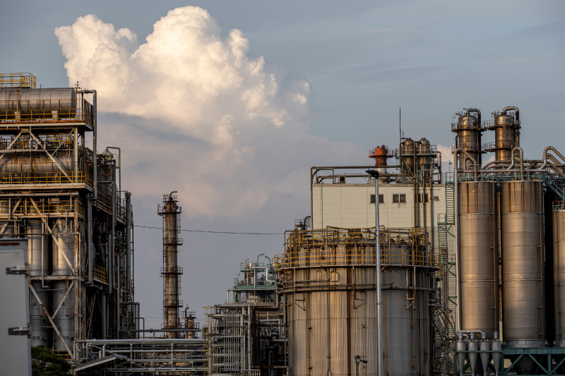 w 800 petrochemical